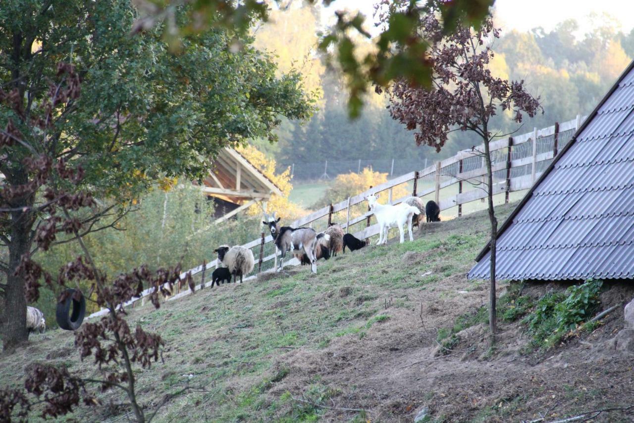 Siedlisko Gizewo Vila Exterior foto